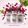 Advanced Heart and Circulation Vitality Gummies
